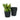 Vibrant 5" Nursery Plant Pots - Drainage-Ready (5-Pack)